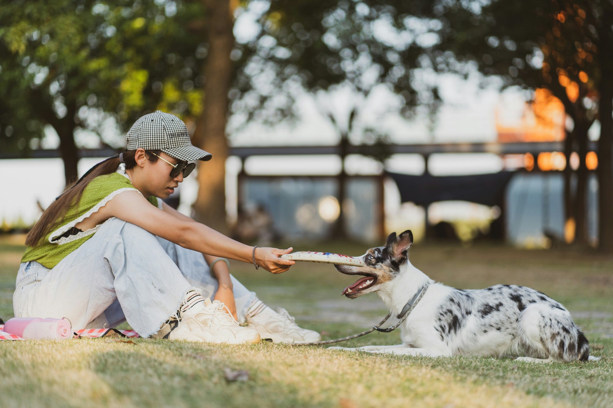 Walks, Sniffs, and Play: Finding the Right Workout for Your Dog